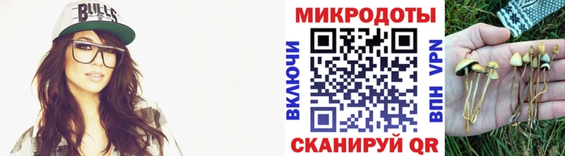 OMG ссылки  Кудрово  Галлюциногенные грибы прущие грибы 